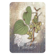 Magickal Herb Oracle kortos Rockpool Magickal Herb Oracle kortos Rockpool