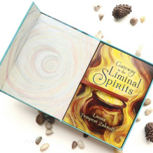 Liminal Spirits Oracle kortos Llewellyn Liminal Spirits Oracle kortos Llewellyn