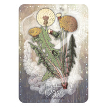 Magickal Herb Oracle kortos Rockpool Magickal Herb Oracle kortos Rockpool