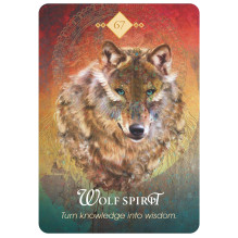 The Spirit Animal Oracle kortos Hay House The Spirit Animal Oracle kortos Hay House