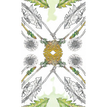 Hedgewitch Botanical Oracle kortos Llewellyn