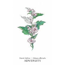 Hedgewitch Botanical Oracle kortos Llewellyn Hedgewitch Botanical Oracle kortos Llewellyn