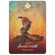The Spirit Animal Oracle kortos Hay House The Spirit Animal Oracle kortos Hay House