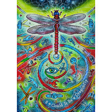 The Dream Weaver's Oracle kortos Hay House The Dream Weaver's Oracle kortos Hay House