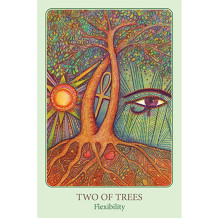 The Tarot Of Light kortos Blue Angel The Tarot Of Light kortos Blue Angel