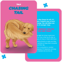 Dog Speak kortos Rockpool Publishing Dog Speak kortos Rockpool Publishing