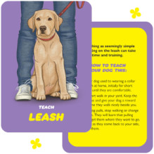 Dog Speak kortos Rockpool Publishing Dog Speak kortos Rockpool Publishing