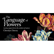 The Language of Flowers Inspiration kortos Rockpool The Language of Flowers Inspiration kortos Rockpool