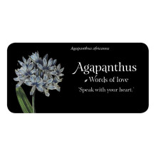 The Language of Flowers Inspiration kortos Rockpool The Language of Flowers Inspiration kortos Rockpool