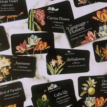 The Language of Flowers Inspiration kortos Rockpool The Language of Flowers Inspiration kortos Rockpool