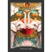 Guardian Of The Night Tarot kortos Hay House Guardian Of The Night Tarot kortos Hay House
