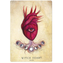 Anatomy Of A Witch Oracle kortos Llewellyn Anatomy Of A Witch Oracle kortos Llewellyn