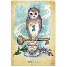 Anatomy Of A Witch Oracle kortos Llewellyn Anatomy Of A Witch Oracle kortos Llewellyn