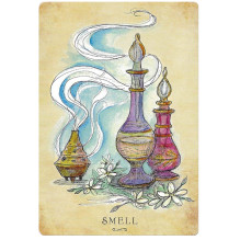 Anatomy Of A Witch Oracle kortos Llewellyn Anatomy Of A Witch Oracle kortos Llewellyn
