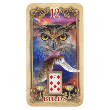 Lustrous Lenormand Oracle kortos Llewellyn Lustrous Lenormand Oracle kortos Llewellyn