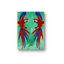 Infinity Playing Cards kortos Difatta Infinity Playing Cards kortos Difatta