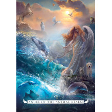 Angel orakulo kortos Rockpool Publishing