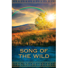 Native Spirit Oracle kortos Hay House Native Spirit Oracle kortos Hay House