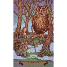 Hedgewitch Taro kortos Llewellyn Hedgewitch Taro kortos Llewellyn