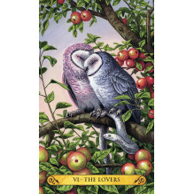 Tarot of the Owls Mini kortos Llewellyn Tarot of the Owls Mini kortos Llewellyn