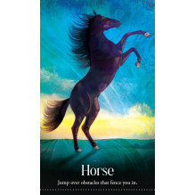 Wild Dreams Animal Oracle Kortos Blue Angel Wild Dreams Animal Oracle Kortos Blue Angel