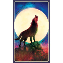 Wild Dreams Animal Oracle Kortos Blue Angel Wild Dreams Animal Oracle Kortos Blue Angel