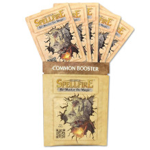 Spellfire Re-Master The...