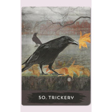 Urban Crow Oracle kortos Hay House Urban Crow Oracle kortos Hay House