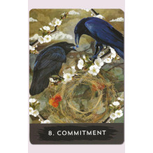 Urban Crow Oracle kortos Hay House