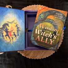 A Witch's Ally Oracle Kortos Llewellyn A Witch's Ally Oracle Kortos Llewellyn