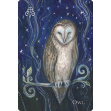 A Witch's Ally Oracle Kortos Llewellyn A Witch's Ally Oracle Kortos Llewellyn