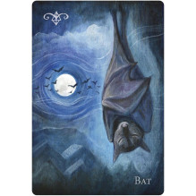 A Witch's Ally Oracle Kortos Llewellyn A Witch's Ally Oracle Kortos Llewellyn