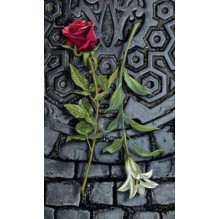 Tarot of the Vampires rinkinys Llewellyn Tarot of the Vampires rinkinys Llewellyn