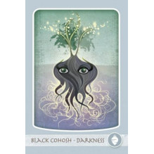 Herbal Healing Deck Taro Kortos Schiffer Publishing