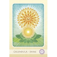 Herbal Healing Deck Taro Kortos Schiffer Publishing