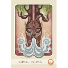 Herbal Healing Deck Taro Kortos Schiffer Publishing