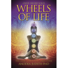 Wheels Of Life Book Llewellyn