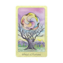 Dream Raven Tarot kortos Schiffer Publishing Dream Raven Tarot kortos Schiffer Publishing