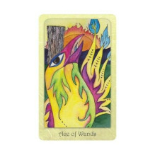 Dream Raven Tarot kortos Schiffer Publishing