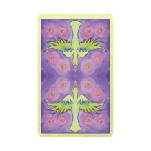 Dream Raven Tarot kortos Schiffer Publishing
