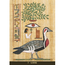Egyptian Sacred Animals Oracle kortos Lo Scarabeo Egyptian Sacred Animals Oracle kortos Lo Scarabeo