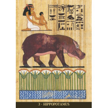 Egyptian Sacred Animals Oracle kortos Lo Scarabeo Egyptian Sacred Animals Oracle kortos Lo Scarabeo