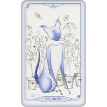 Bleu Cat Taro Kortos Schiffer Publishing Bleu Cat Taro Kortos Schiffer Publishing