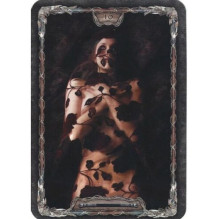 Tarot Gothica kortos Schiffer Publishing Tarot Gothica kortos Schiffer Publishing