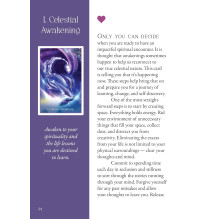 Whispers of the Dolphin Heart kortos Blue Angel Whispers of the Dolphin Heart kortos Blue Angel