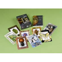 Natures Wisdom Oracle kortos Schiffer Publishing
