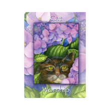 Natures Wisdom Oracle kortos Schiffer Publishing