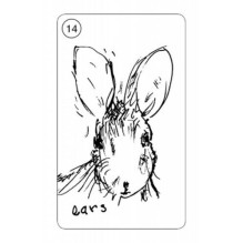 Carrot Cards Taro Kortos Schiffer Publishing Carrot Cards Taro Kortos Schiffer Publishing