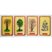 Tree of Life Oracle kortos Schiffer Publishing Tree of Life Oracle kortos Schiffer Publishing