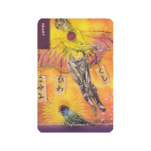 Body Cards Taro Kortos Schiffer Publishing Body Cards Taro Kortos Schiffer Publishing